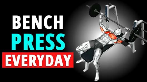 What Will Happen If You Do Bench Press Every Day Pros Cons Should