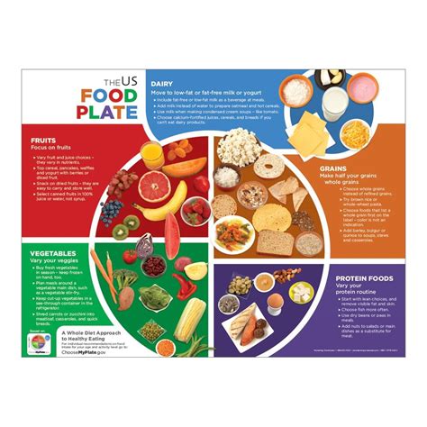 Us Food Plate Poster Nutrition Education Visualz