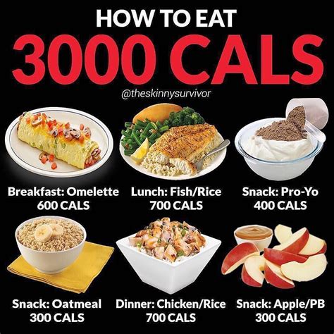 3000 Calorie Meal Plan Artofit
