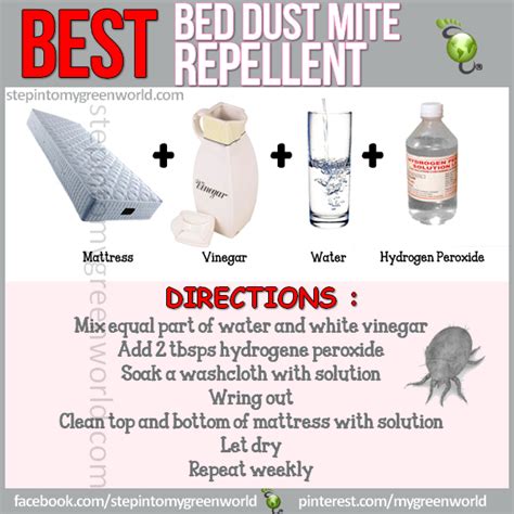 This Is A Great Dust Mite Repellent Recipe Home Diy Prob Solvers
