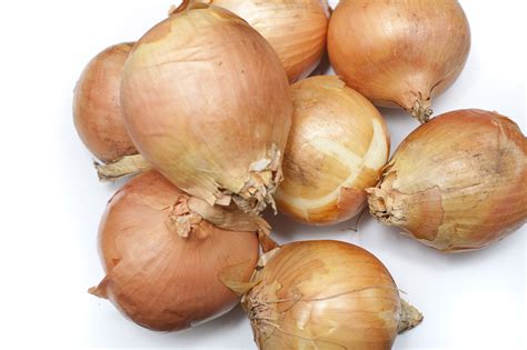 Pile of brown onions - Free Stock Image