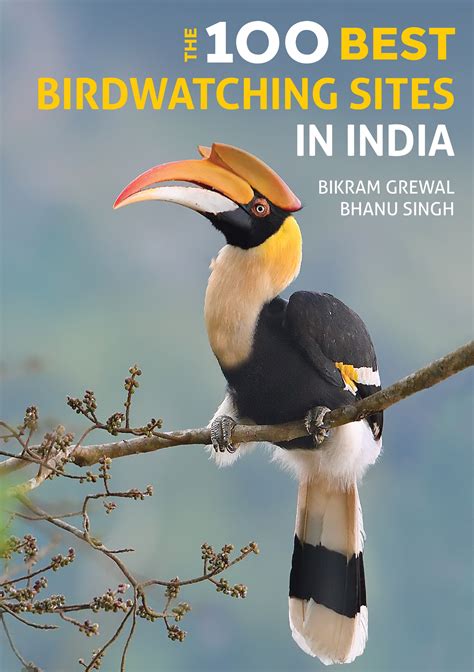 The Best Birdwatching Sites In India BirdGuides