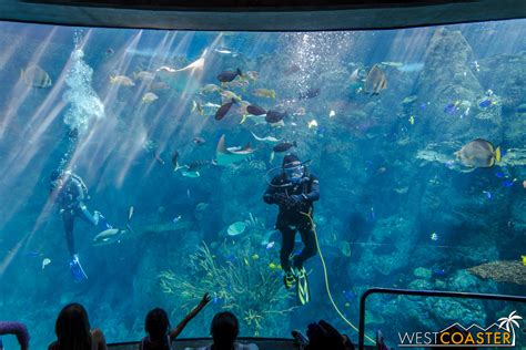 Aquarium Of The Pacific — Westcoaster