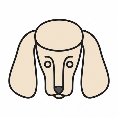 Animal Breed Dog Doggy Pet Poodle Puppy Icon Download On Iconfinder