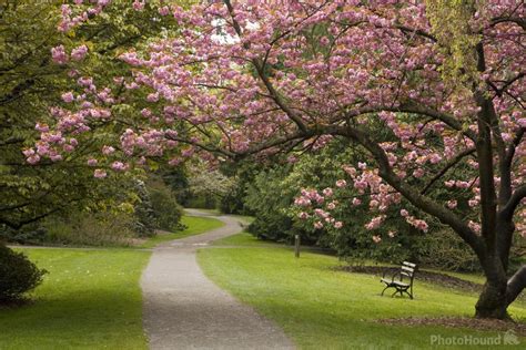 Image Of Washington Park Arboretum 39507