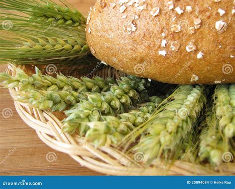 Bread And Grains Stock Photo Image Of Diet Wholemeal 20094084
