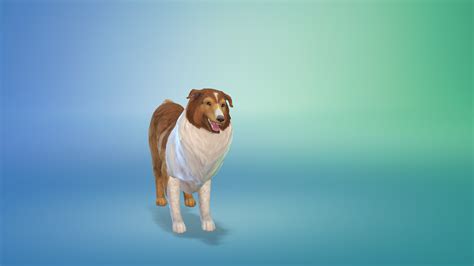 Bowlofpixels The Sims 4 Cap Dog Breeds And Presets Collie