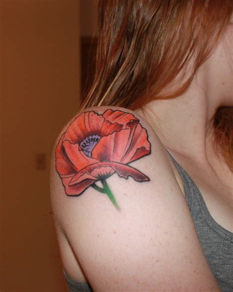 100s Of Poppy Tattoo Design Ideas Pictures Gallery