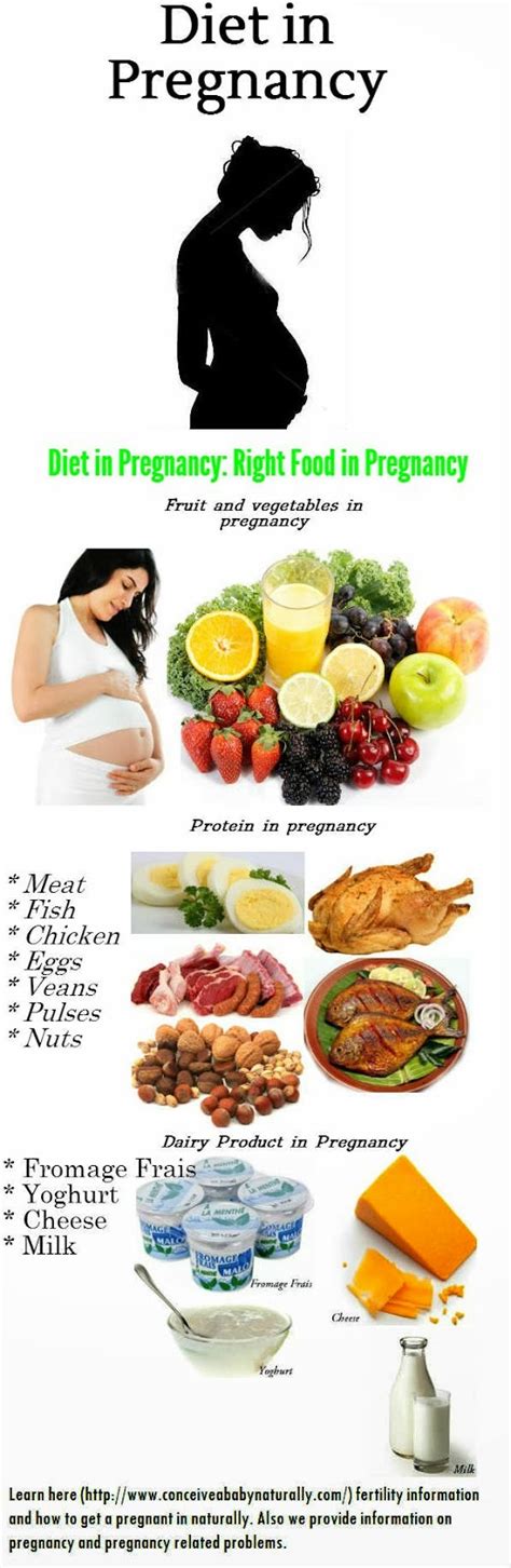 Health In Pregnancy Diet In Pregnancy Infographic