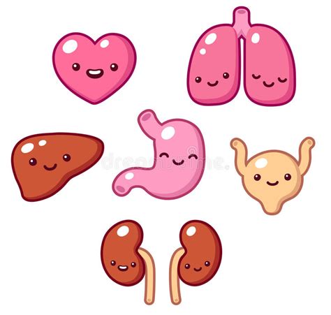 Cute Organs Stock Vector Illustration Of Heart Cute