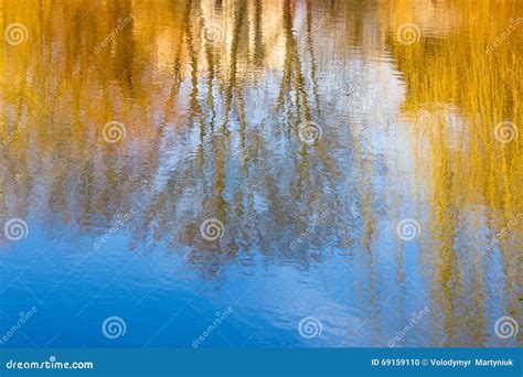 Photography Blur Tree Reflection On Water Stock Photo Image Of