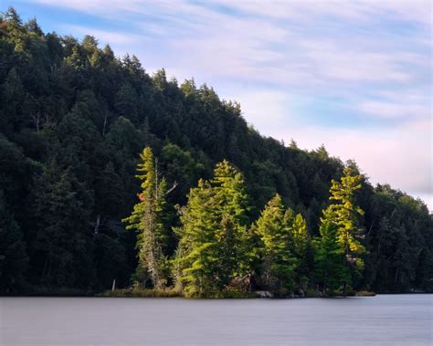 Download Wallpaper 1280x1024 Forest Trees Lake Island Landscape