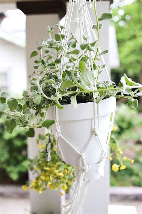 If so, please try restarting your browser. 10 Affordable Outdoor DIY Projects