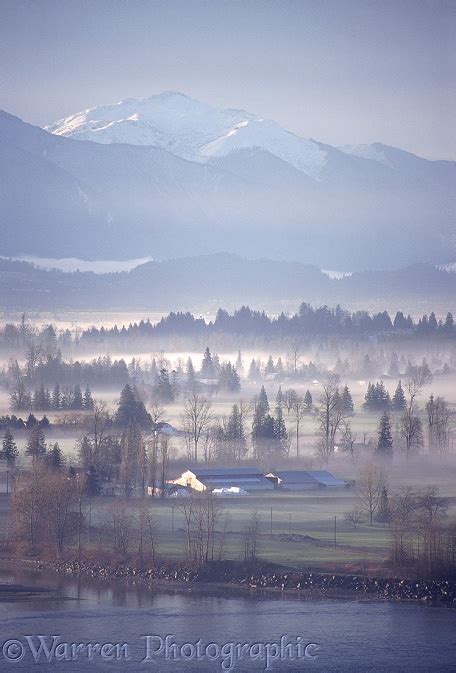 Fraser Valley With Mist Photo Wp01900