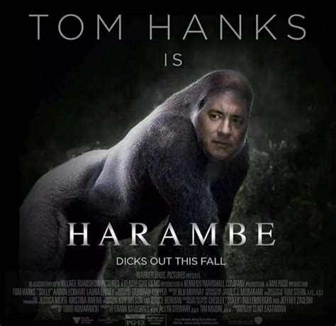 Harambe Meme Tom Hanks Is Harambe Dicks Out This Fall Quotesbae