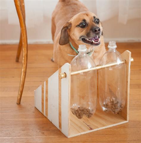 21 Easy Diy Projects For Dog Lovers Barkpost