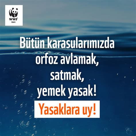 WWF TURKIYE on Twitter Orfozun iç sular dahil bütün sularımızda