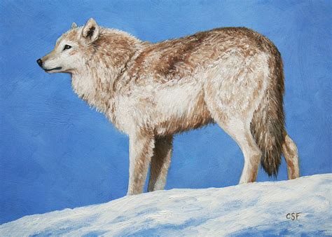 Snowy Wolf Painting By Crista Forest Fine Art America