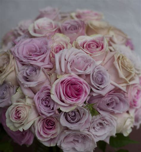 The Blush Rose Study Flirty Fleurs The Florist Blog Inspiration For