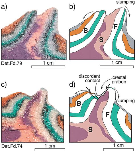 Detachment Folding Fold Amplification And Diapirism In Thrust Wedge