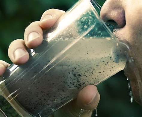 How We Kill Each Other Water Pollution Ecoist Magazine