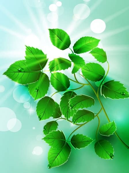 Beautiful Light Green Leaves Vector Free Vector In Encapsulated