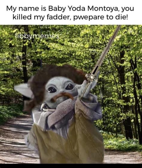 To legendary meme status, baby yoda ascended has. 30 Funny Grogu Memes Aka Baby Yoda Memes - Live One Good Life