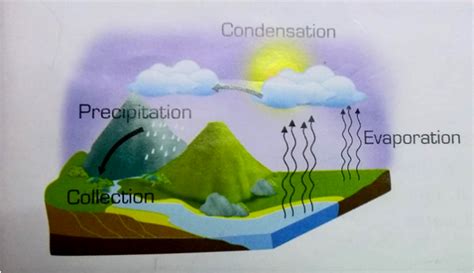 Ielts Writing Task 1 Simon Water Cycle Water Use Images
