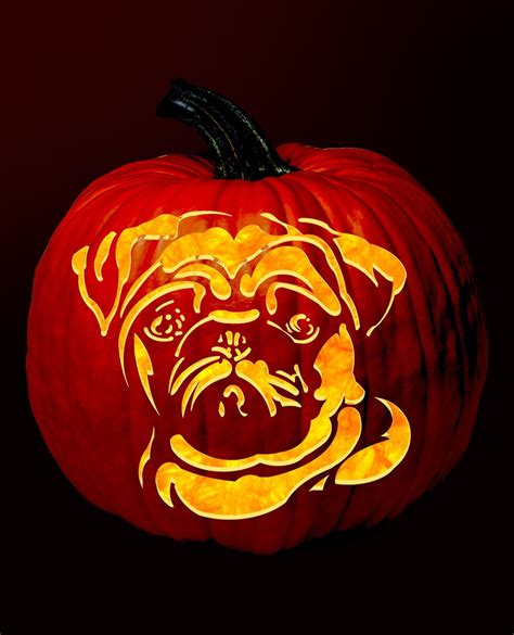 Pug Pumpkin Carving Pattern Digital Download Etsy