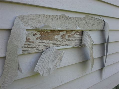 Another amazing residence in cedar park, tx. Peeling Solid Color Stain on Cedar Siding? | Painting In ...