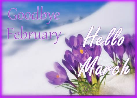 Goodbye February Hello March Hello March February Wallpaper Hello