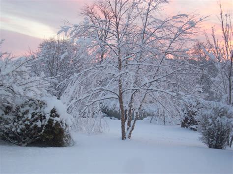 Swac Girl Sunrise After The Snow Winter Wonderland In Shenandoah Valley