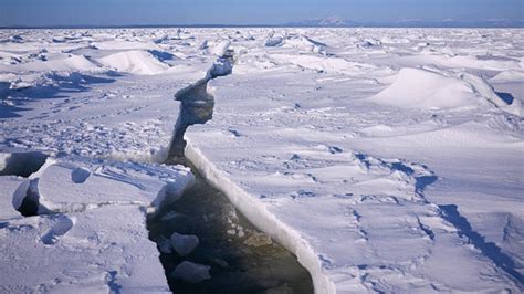 Ártico Y Antártico Dónde Están Y En Qué Se Diferencian