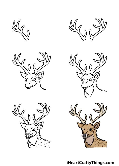 Deer Head Drawing How To Draw A Deer Head Step By Step