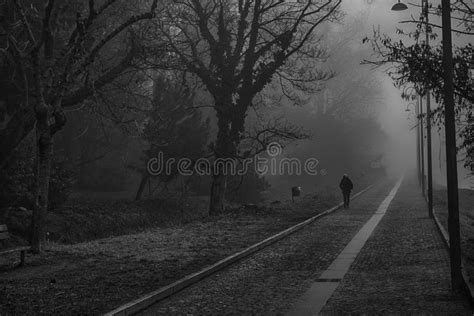 Mystical Walk Path With Fog Silhouette Of Trees And Man Misty W