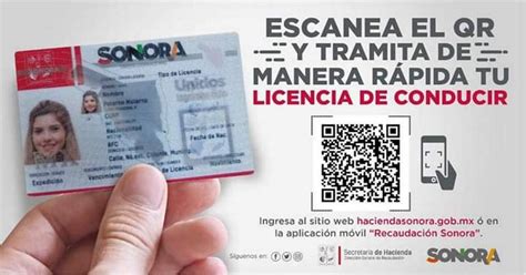 Numero De Licencia De Conducir Actualizado Noviembre 2022