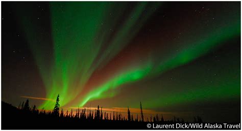 Northern Lights Aurora Borealis Over Fairbanks Alaska