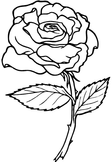 Desenhos De Rosa Para Colorir Dicas Práticas