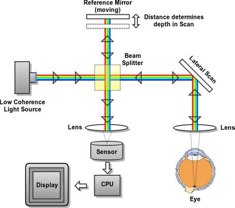 Schema Of A Basic Optical Coherence Tomography Oct Acquisition System