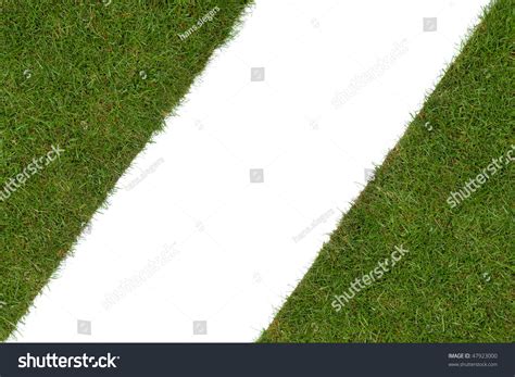 Piece Of Grass Isolated On A White Background Stock Photo 47923000