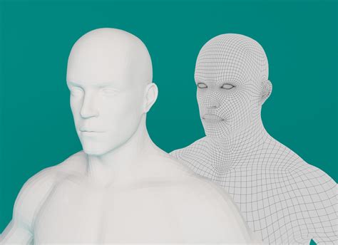 Male Basemesh Free Vr Ar Low Poly 3d Model Cgtrader