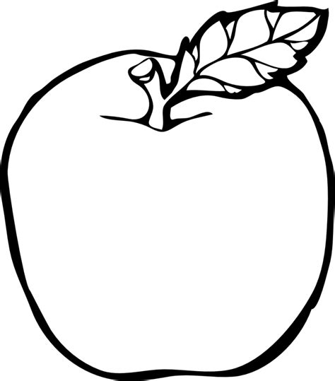 Best Black And White Apple Clip Art 14462