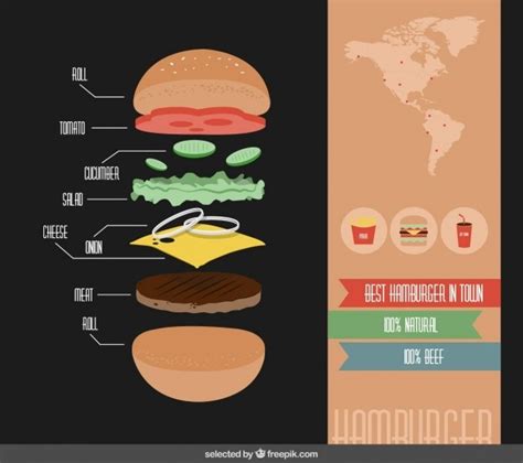 Free Vector Hamburger Ingredients Infographics