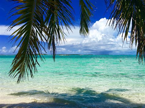 Багамские Острова Фото Пляжей Telegraph