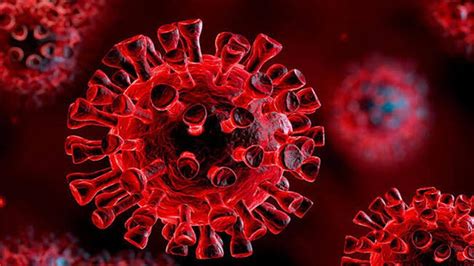 Türkiye de ilk korona vakası ne zaman görüldü Dünyada koronavirüs