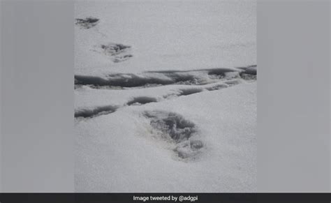 Yeti Footprints Sighted By Expedition Team Tweets Indian Army