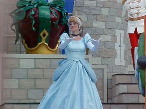 Cinderella Cinderellas Surprise Celebration Magic Kingdo Meeko Flickr