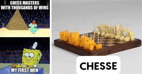 ‘check Out These 25 Chess Memes For People Who Plan Their Every Move