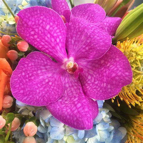 Vanda Orchids Look Stunning In Our Arrangements 😍 Summer Flowers