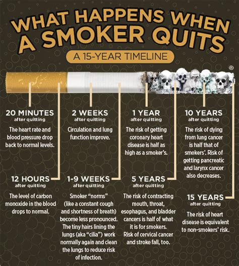 facts about what happens when you quit smoking timeline cbq uncovered telegraph